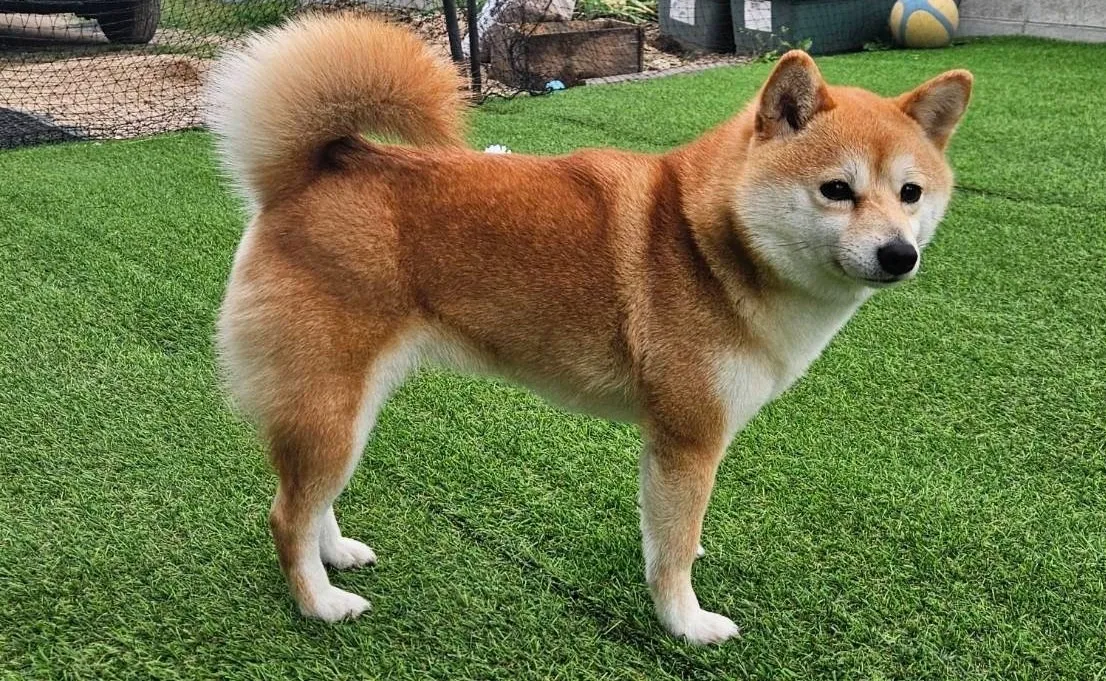 お客様からお便りいただきました